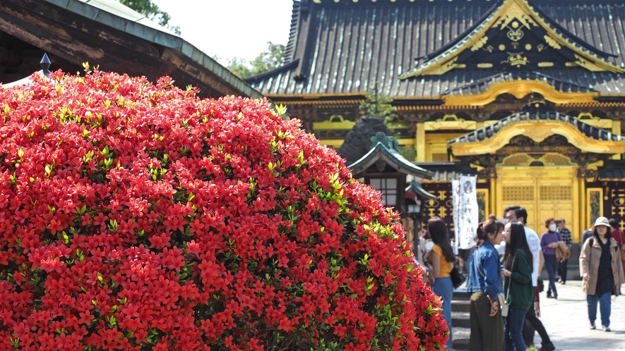 上野東照宮