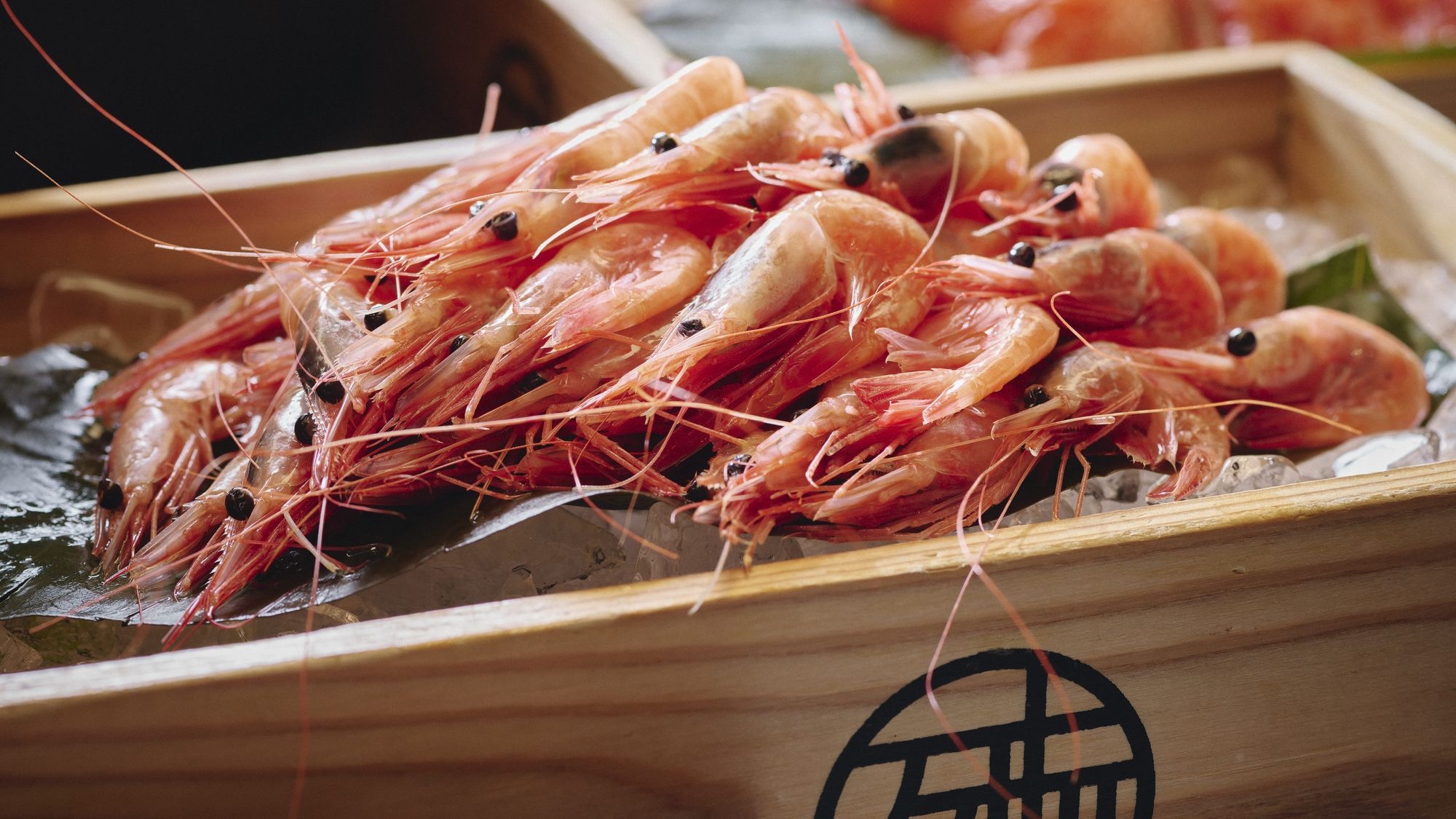 【さき楽30｜事前カード決済限定】早めの予約がおすすめ！函館の食と温泉を愉しむ／夕・朝食付き