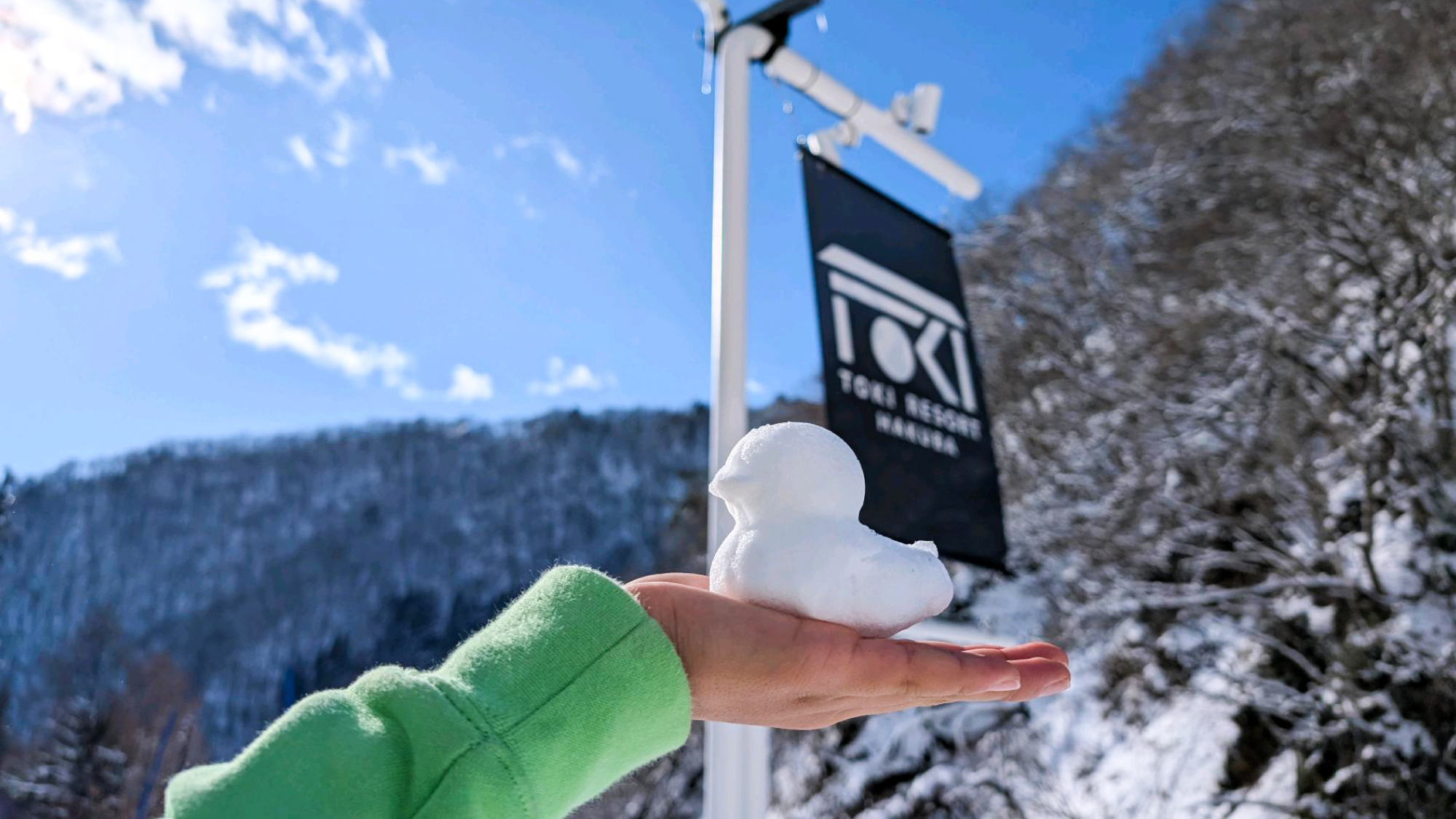 お客様からのプレゼント