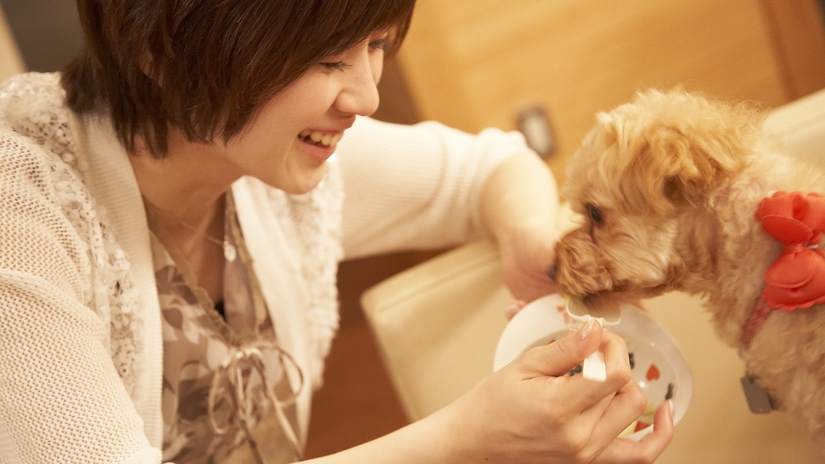 愛犬と共にお一人旅プラン(2023年4月〜)