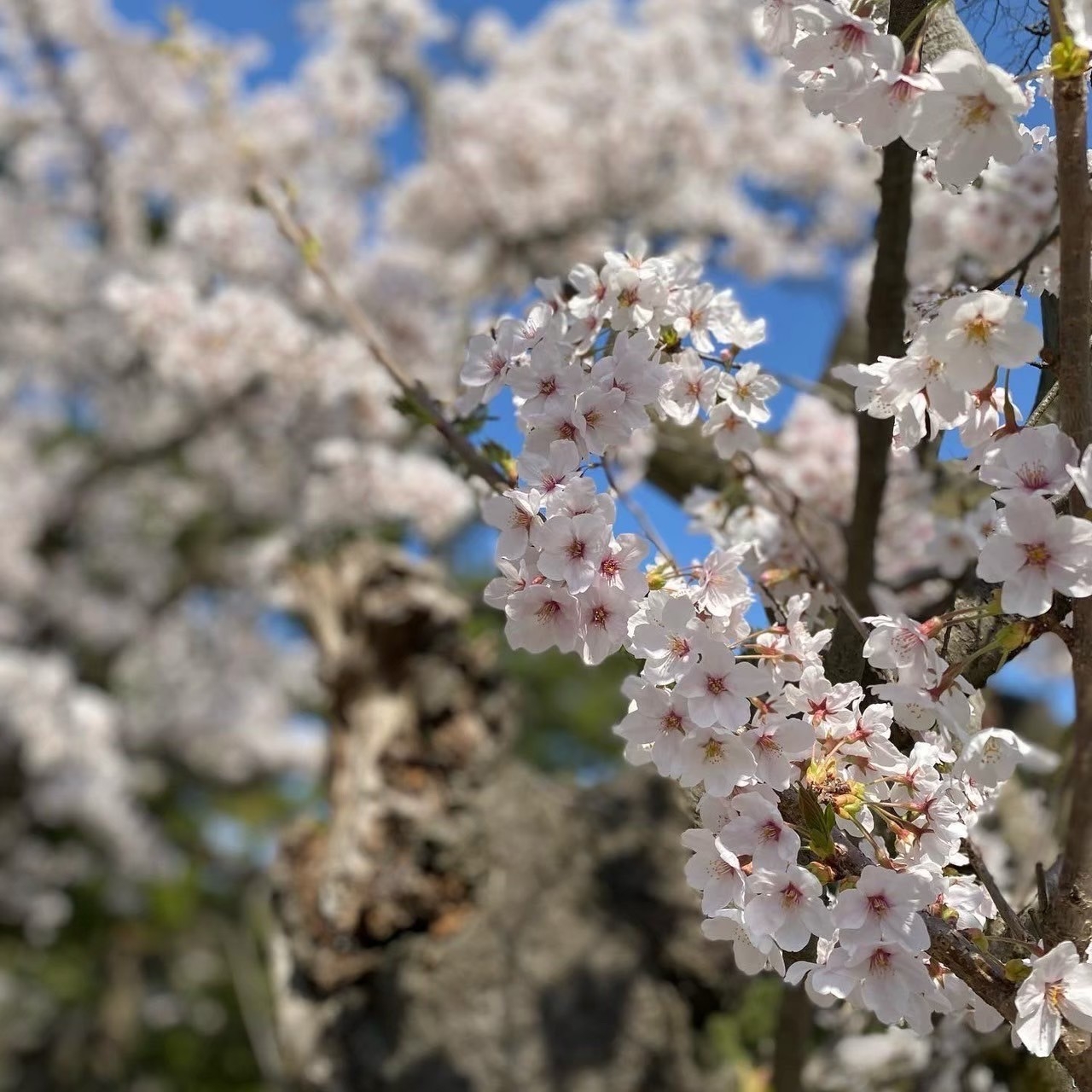 【一泊二食プラン】〜源泉かけ流しの貸し切り温泉＆季節ごとの創作料理を堪能〜