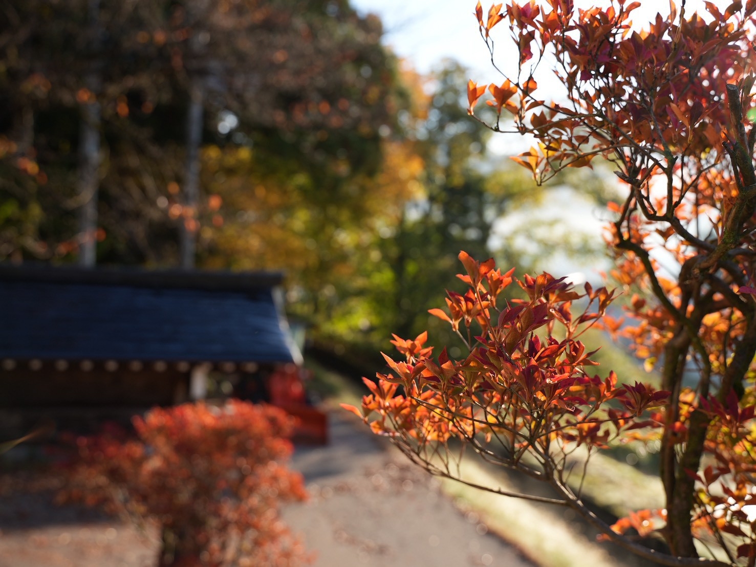 【一泊朝食プラン】炊き立て南魚沼産コシヒカリを堪能