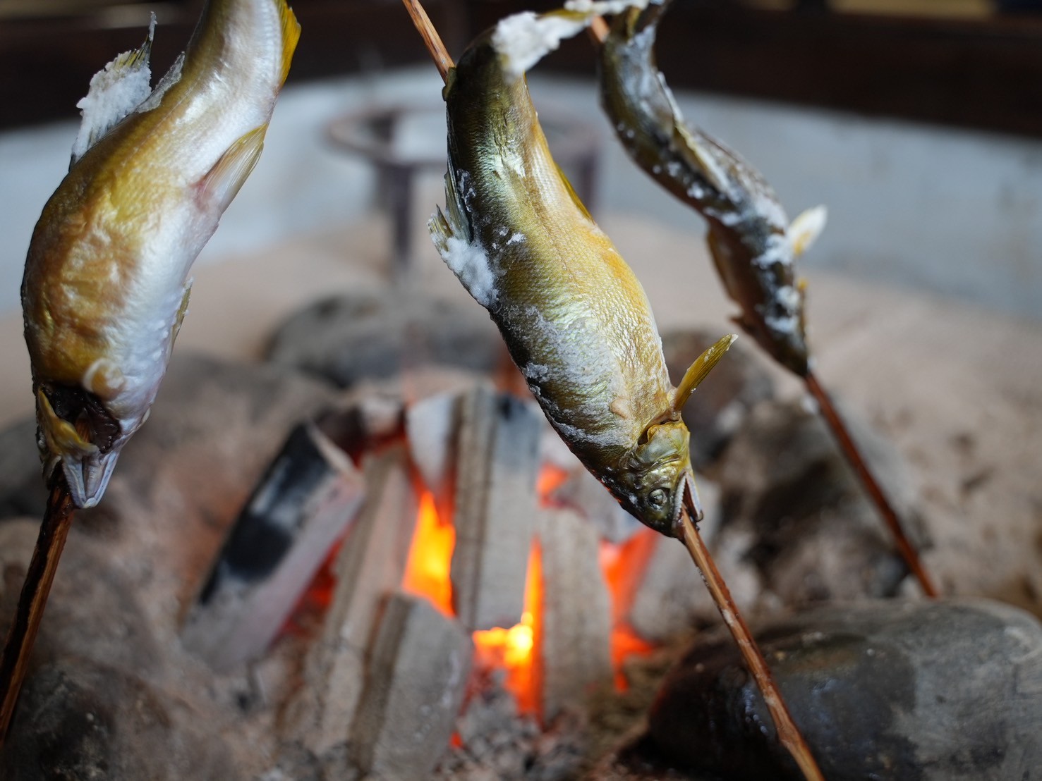 囲炉裏と鮎