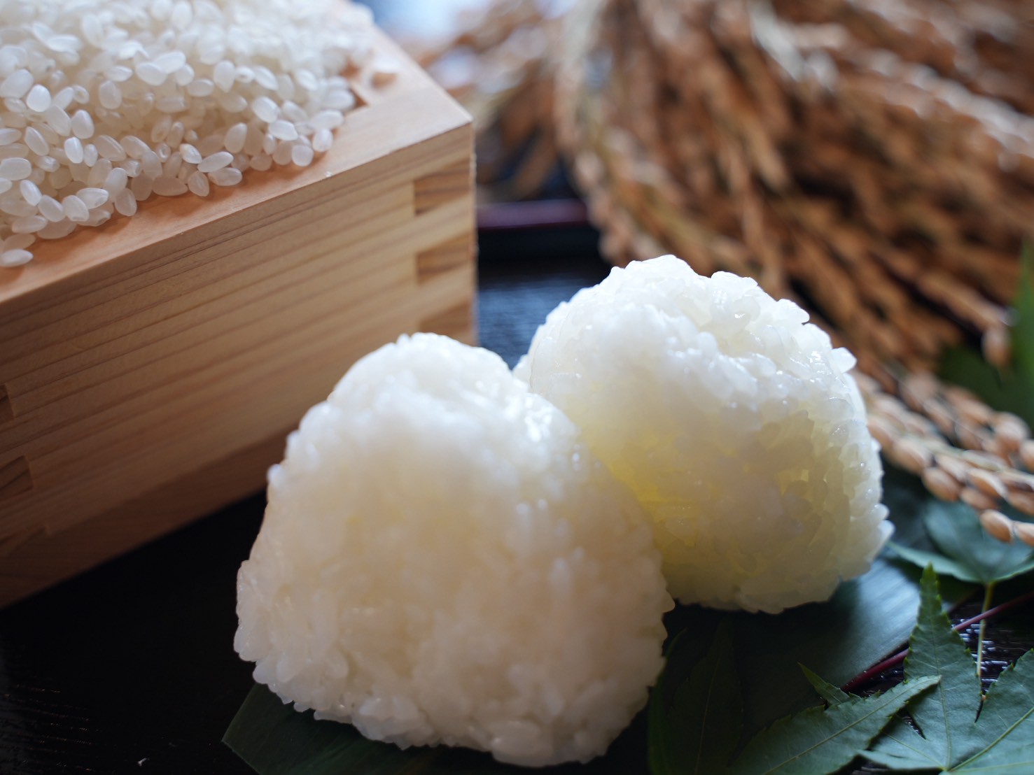 新米おにぎり
