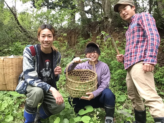 春季限定　山菜取り