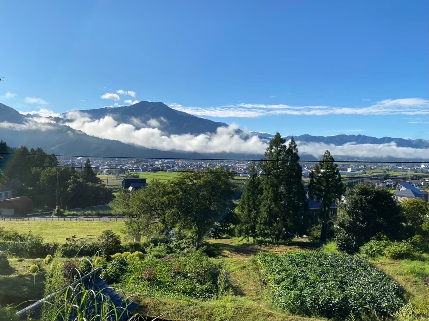 初夏景色