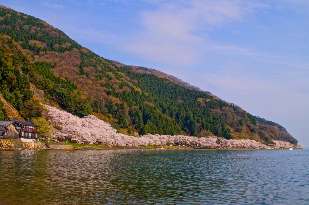 写真2