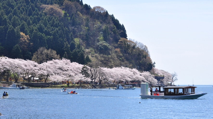 ・琵琶湖から望む桜を満喫できます