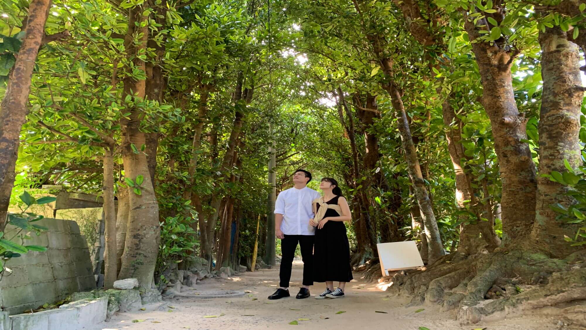 【備瀬のフクギ並木】当館から車で約21分