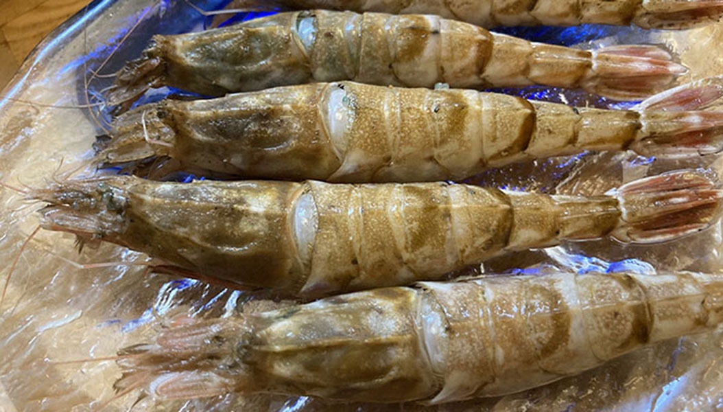 冬の山陰　幻の海老「猛者エビ」フルコースディナー