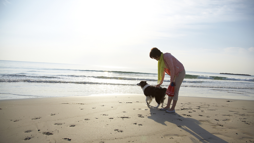 愛犬と共にお一人旅プラン(2024年4月〜)