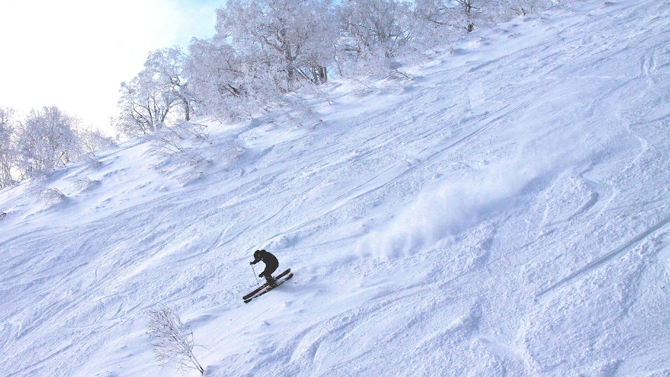 パウダーガイド　スキーやスノーボード