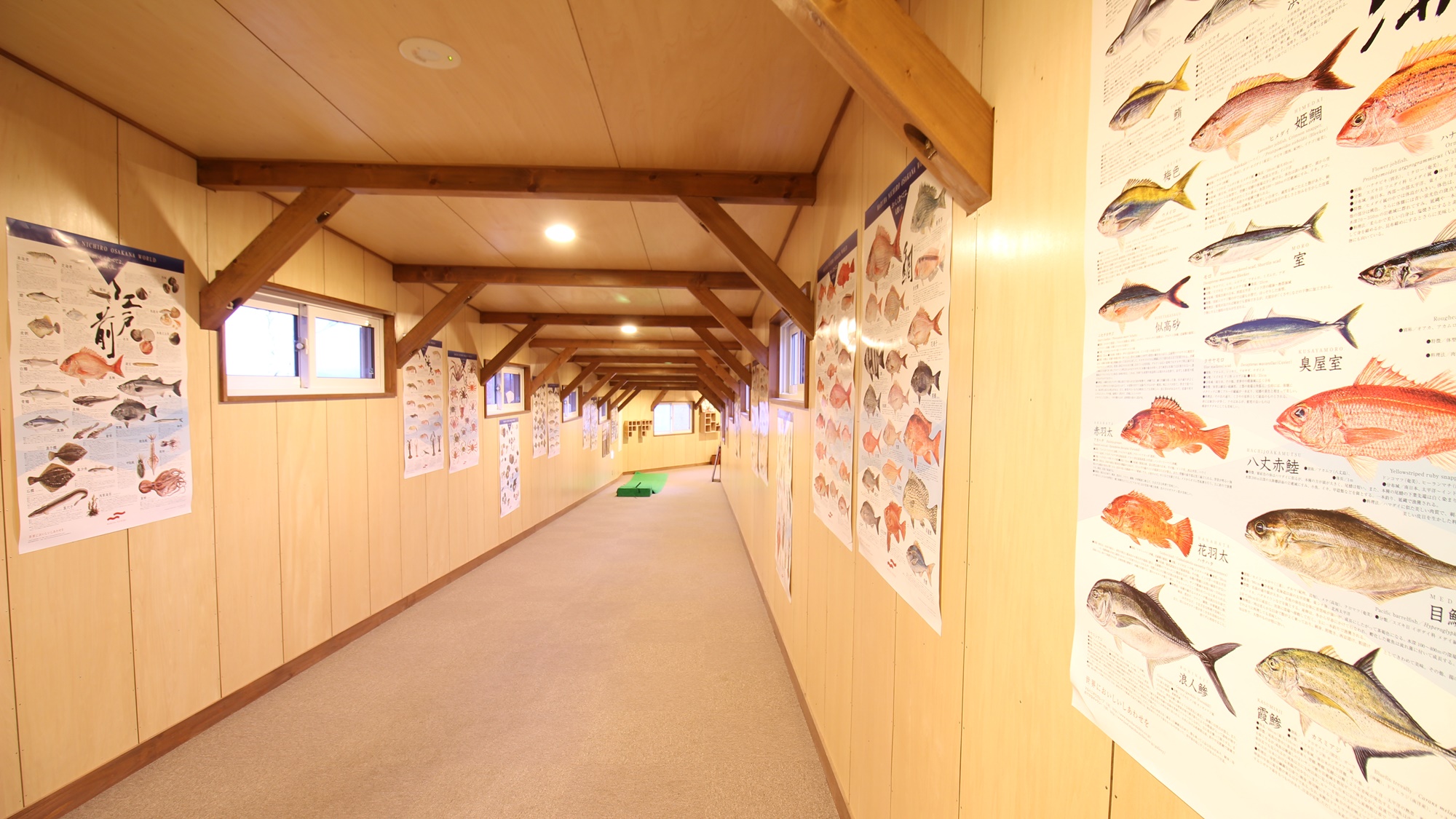 *【施設／廊下】壁には湖に生息する希少な魚のポスターが飾ってあります。