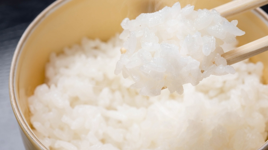 *【食事】お米はこだわりの無農薬米「極」を使用。ホクホクご飯で食が進みます。