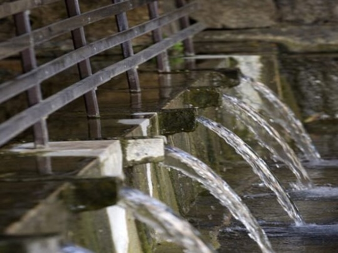 【周辺情報】金武大川　県下有数の湧泉で長寿の泉と呼ばれます