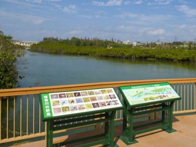  【周辺情報】億首川からマングローブを望む風景　