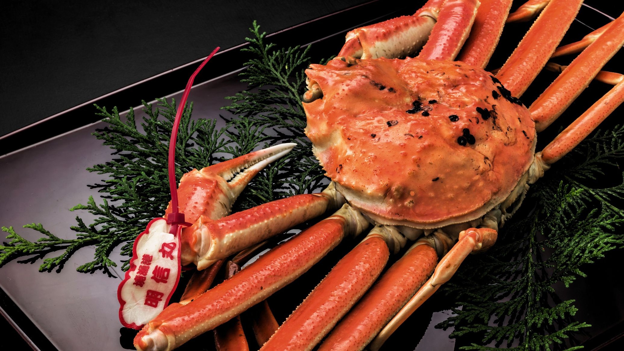 【春SALE】【冬の至福】タグ付き山陰松葉蟹×蟹尽くし会席◆蟹好きに贈る至福の席【5E9n】