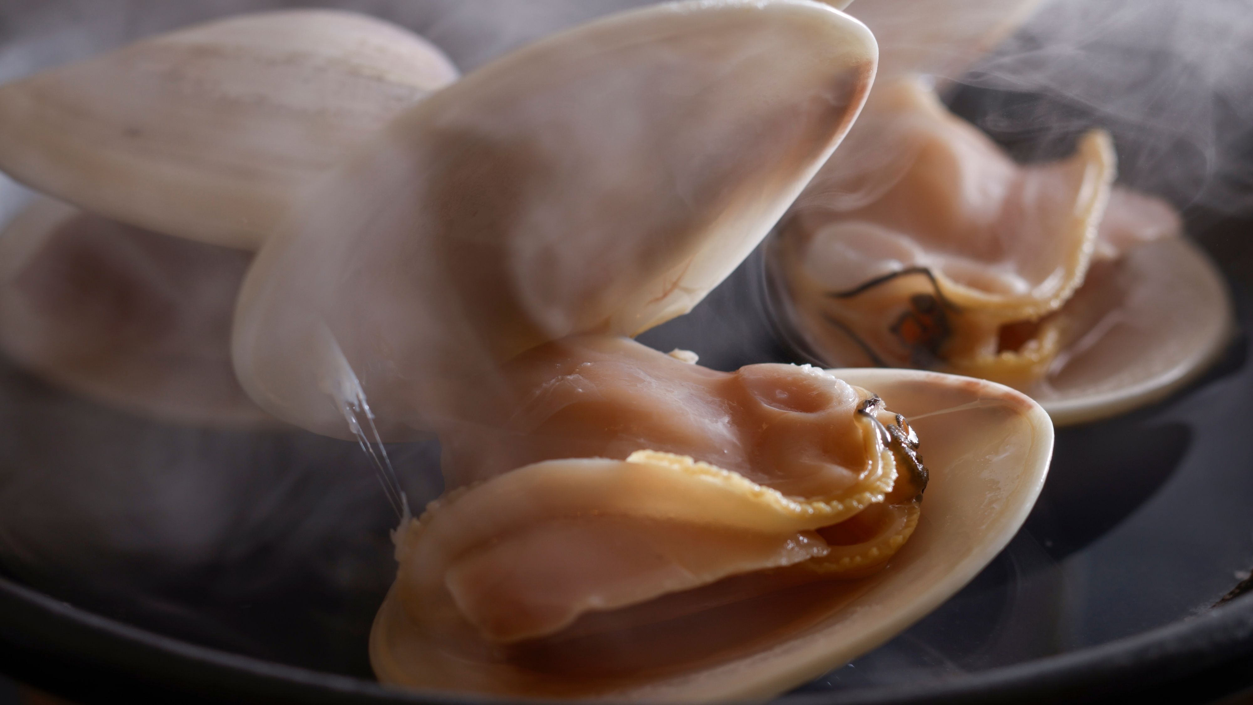 【春SALE】季のひと品を加えた、櫂の特選会席【E0i】