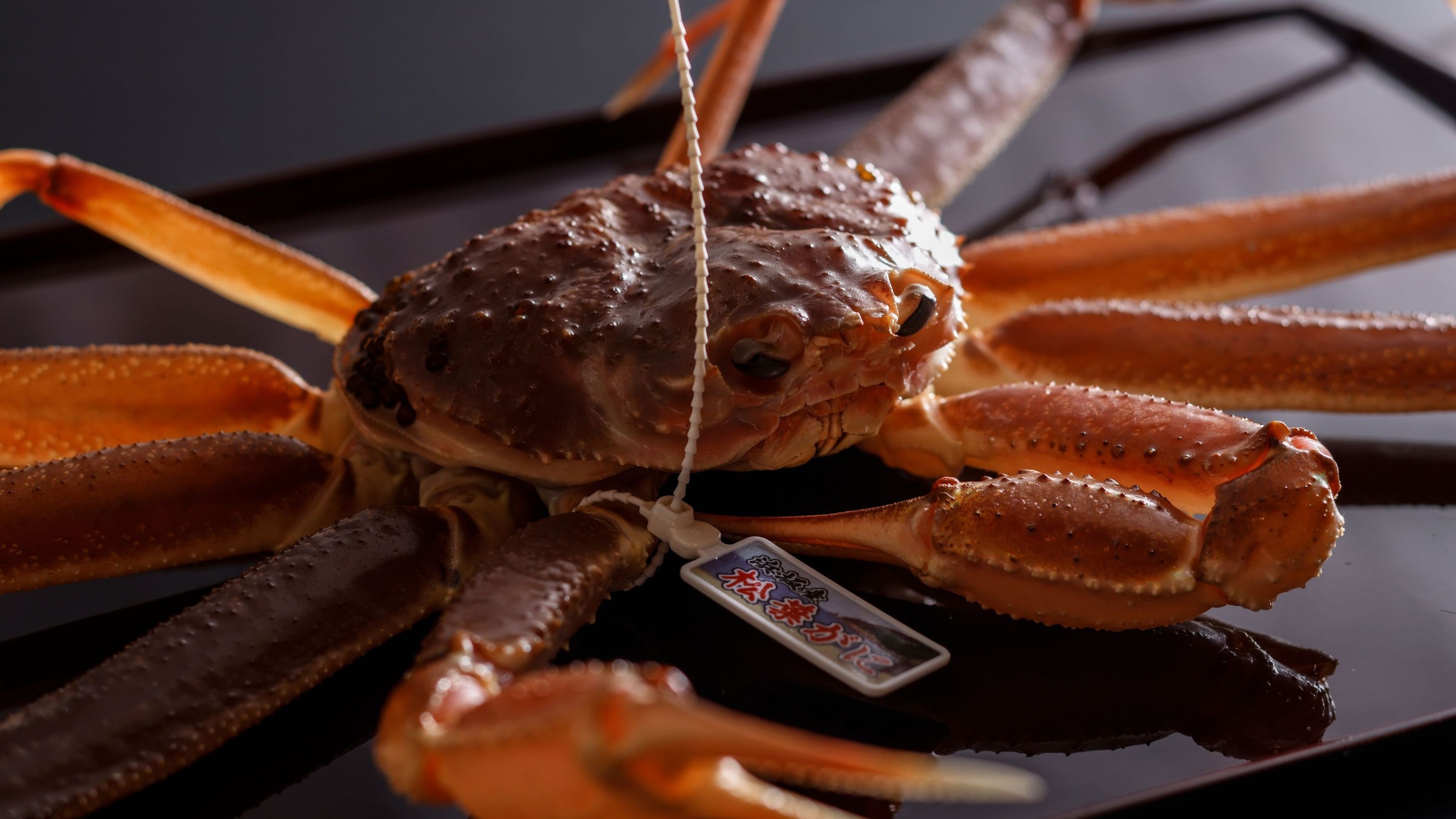 【冬の極み-活松葉蟹の真髄- 】活松葉蟹三種仕立てと蟹会席の饗宴【1E10】