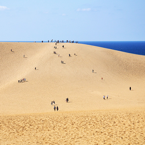 【鳥取砂丘】山陰海岸ジオパークスポット！日本最大級の砂丘からの景色は圧巻（当館より車で約110分)