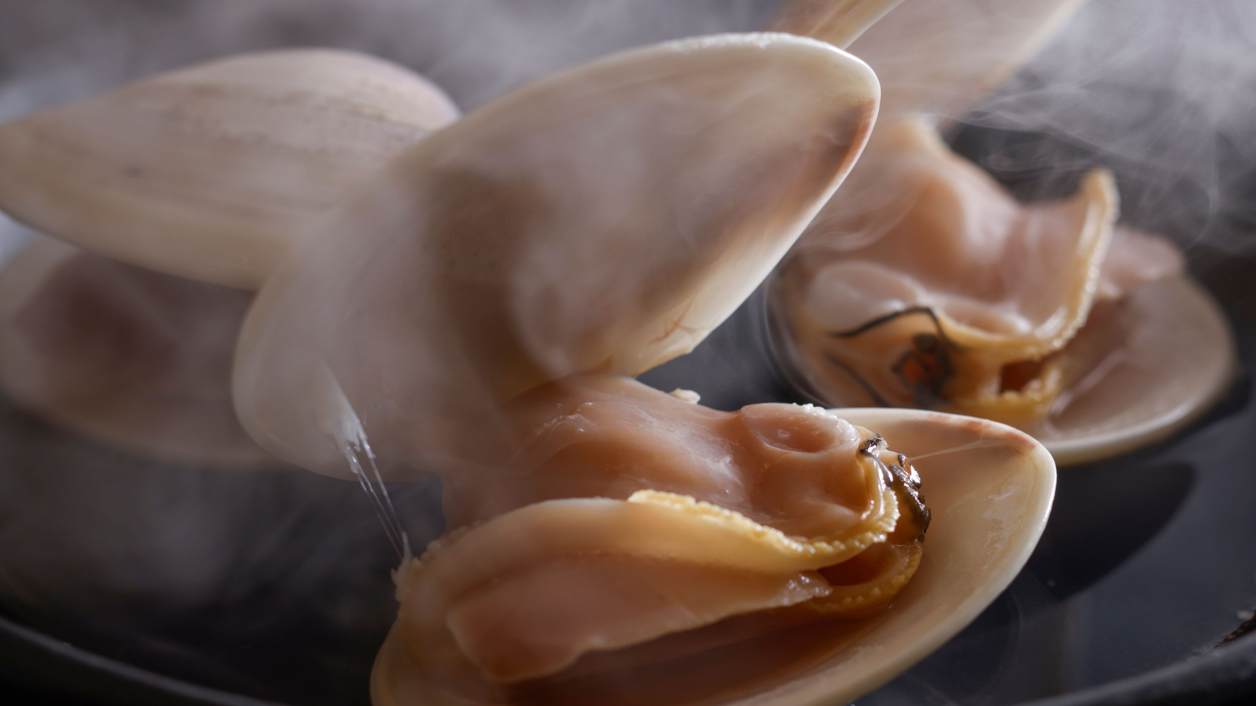 【春の献立一例】磯の香りが溢れ出す、肉厚な蛤の酒蒸し。