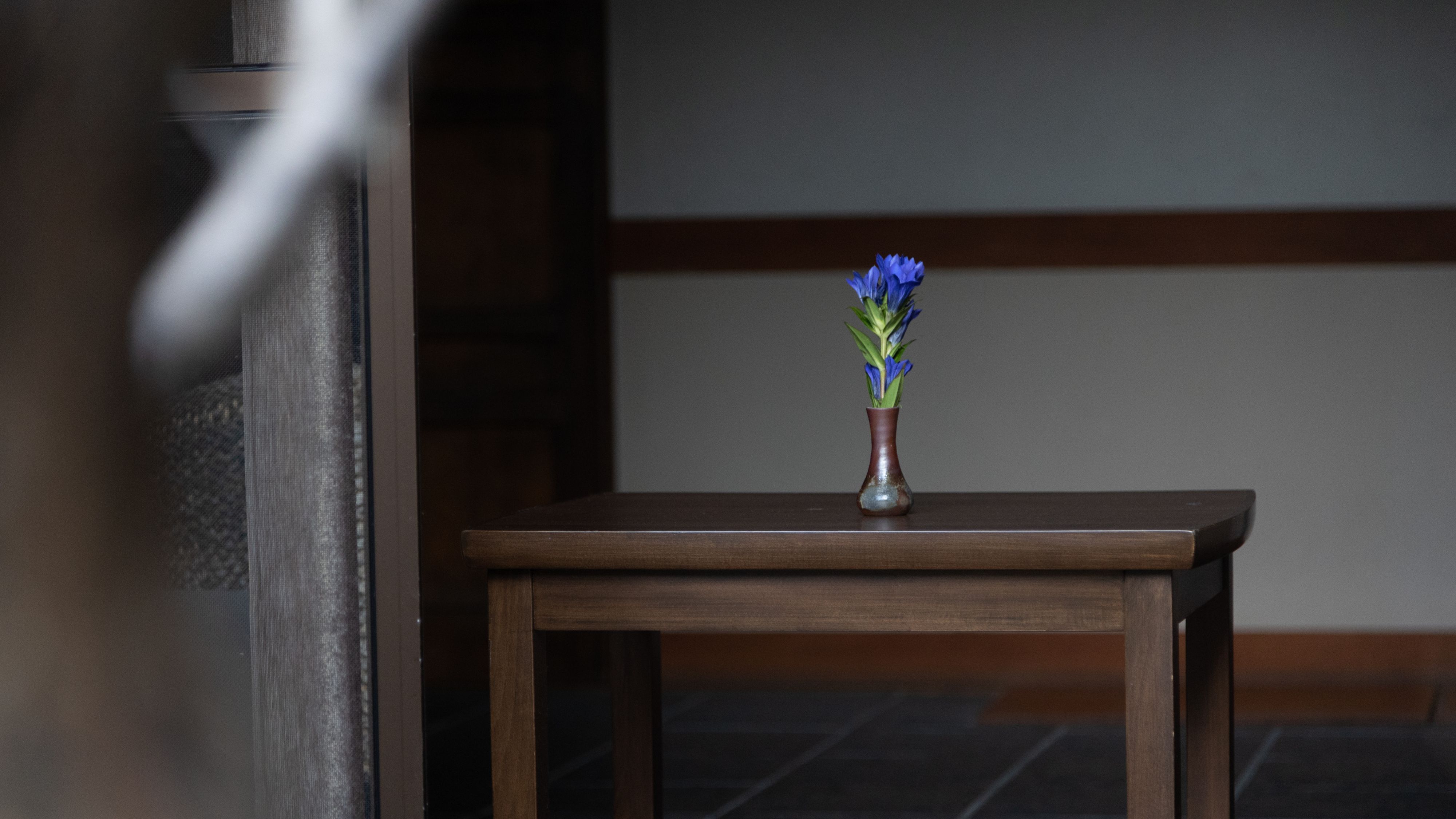 【施設】静かな空間に、一輪の青い花。心落ち着く、心地よい時間をお過ごしください。