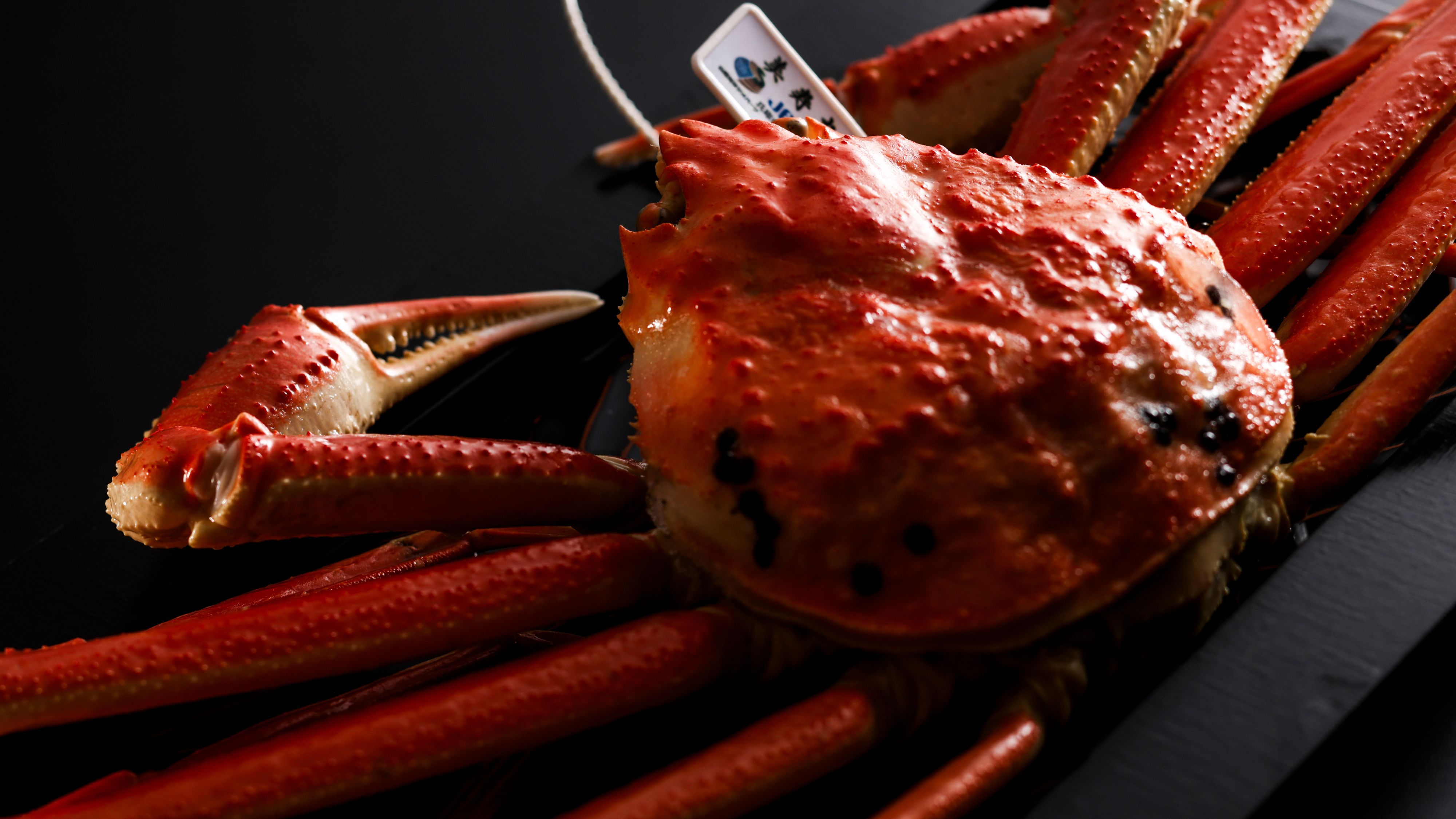 【冬の献立一例】