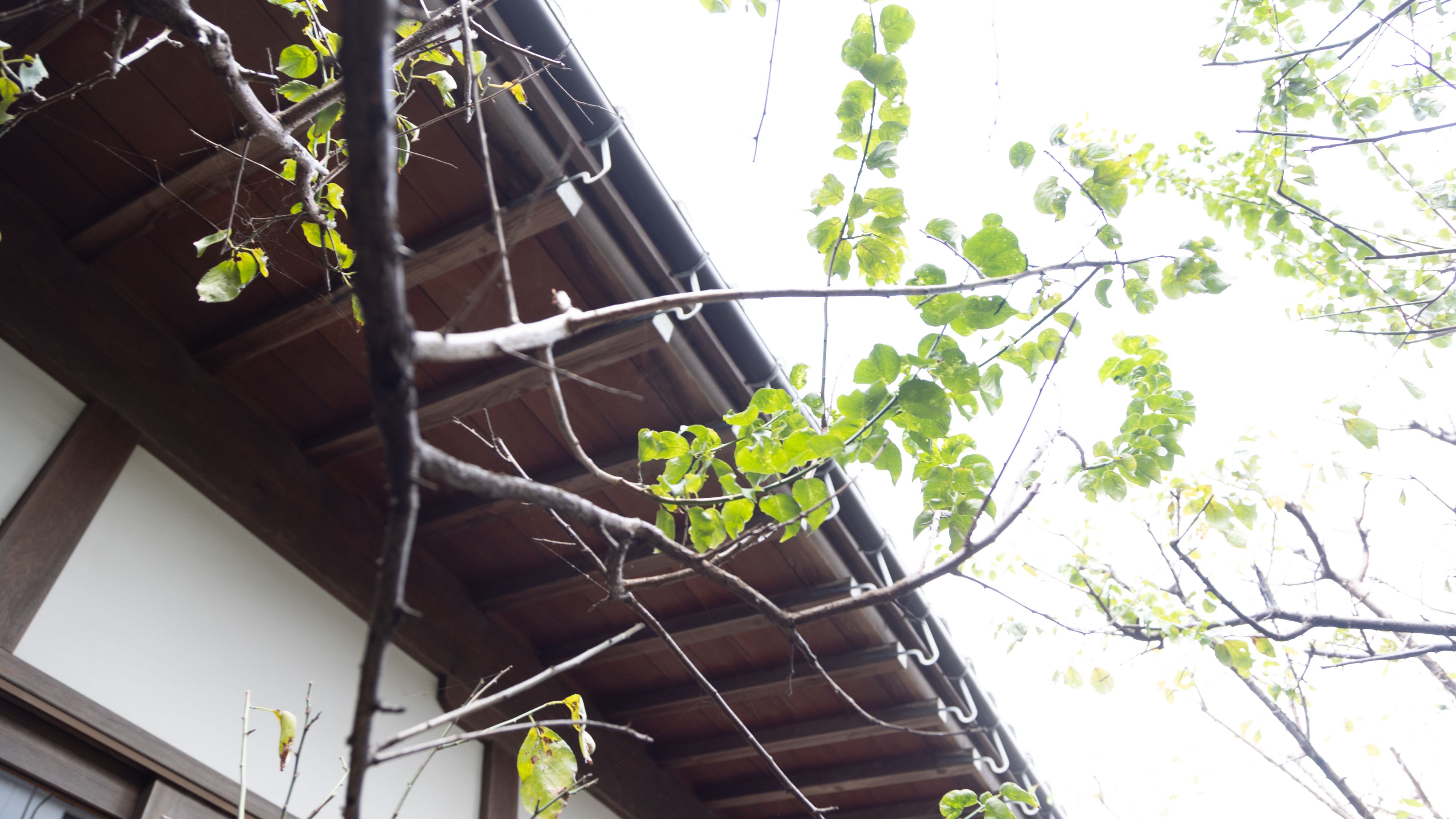 【施設】庭を望む、癒しの憩いの空間。