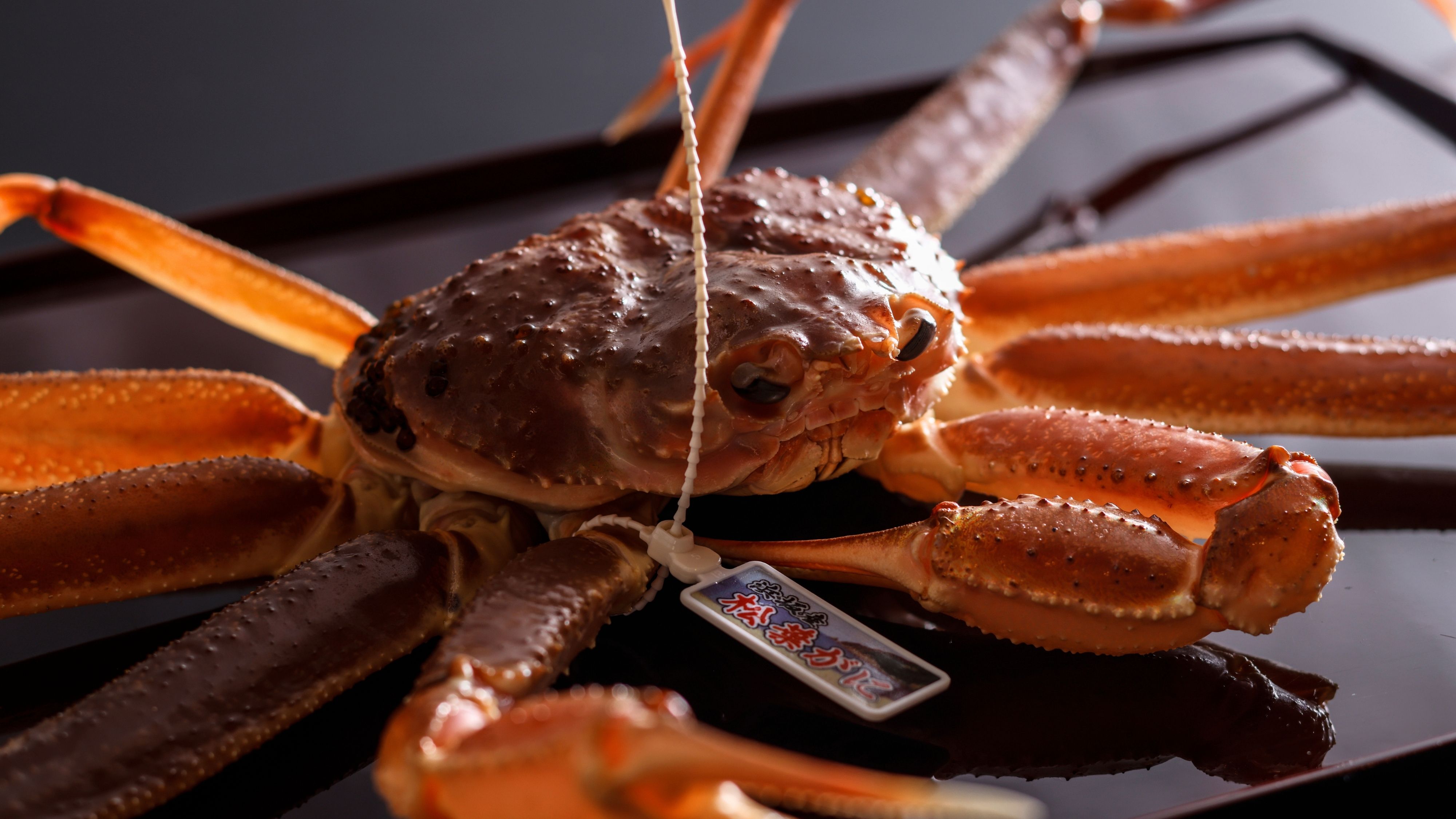 【冬の献立一例】活蟹