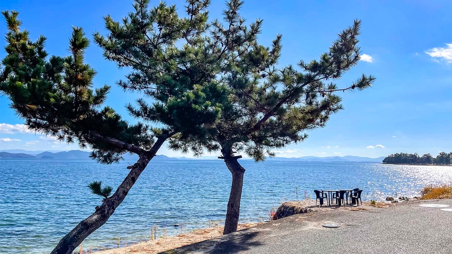 ・琵琶湖とセットで松を眺めると心が癒されます