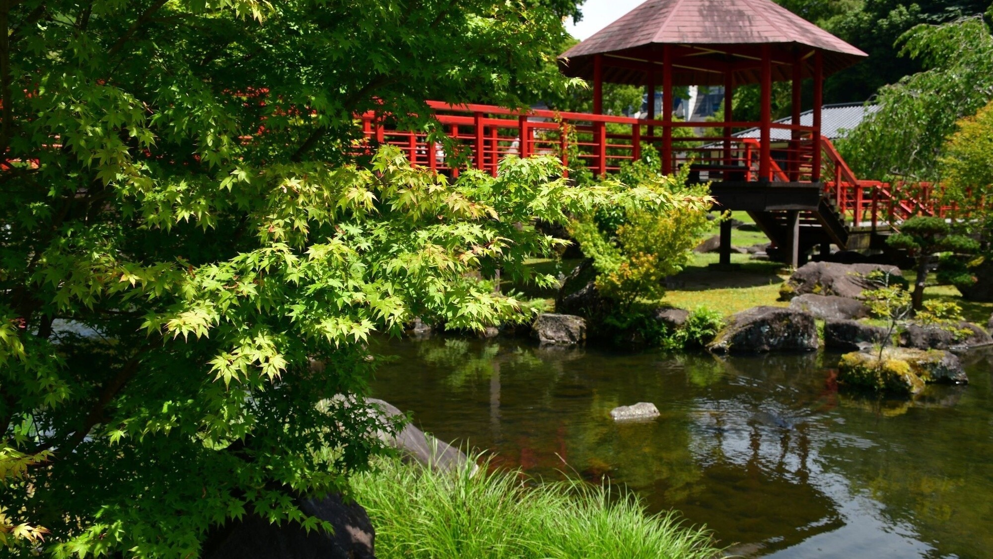 溪石園（初夏）