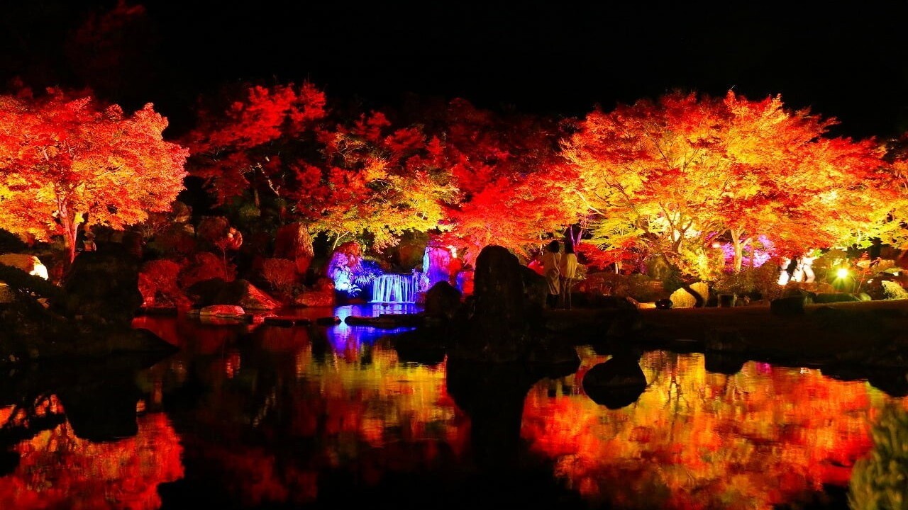 溪石園（秋のライトアップ）