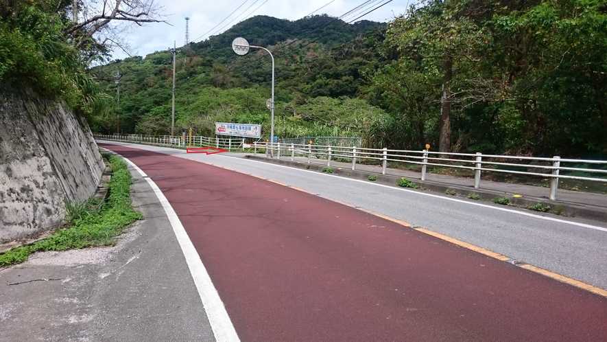 入口目標案内板（沖縄美ら海海水族館看板）