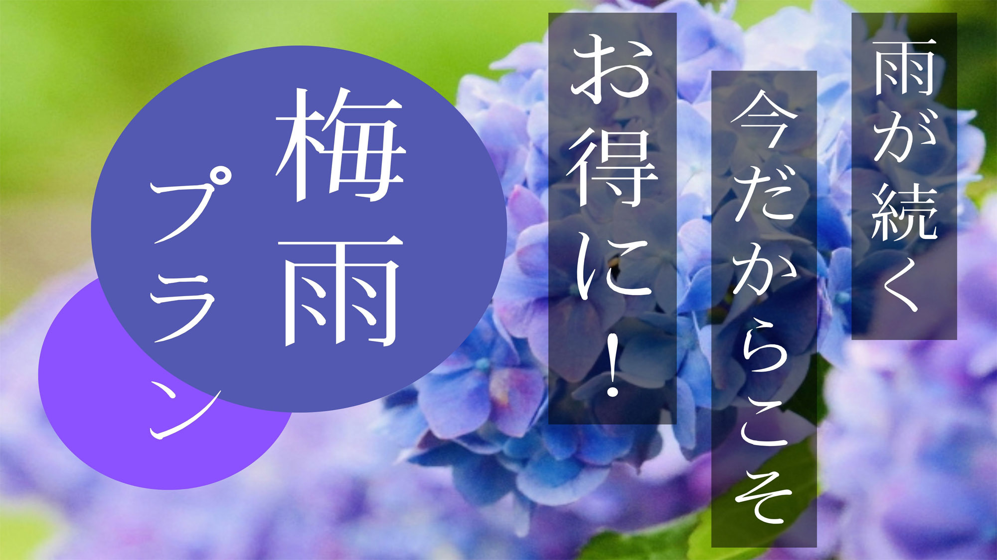 【期間限定】梅雨の時期は「雨宿り（あまやどり）」を楽しもう【2大特典】
