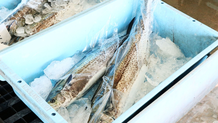市場◆島の市場には新鮮な魚介がたくさん！