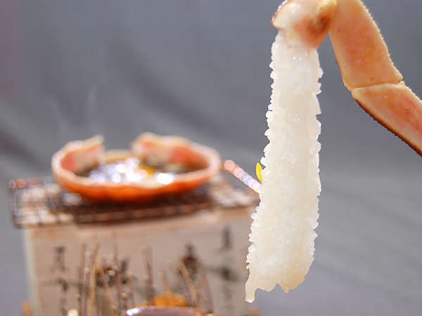 ◆越前蟹◆期間限定！越前カニめおとコース◆せいこ＆ずわい◆越前がにの美味さを存分に味わってください！