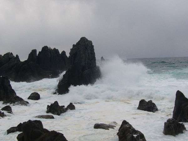 冬日本海ー海が荒れると波の華が見れるかも！