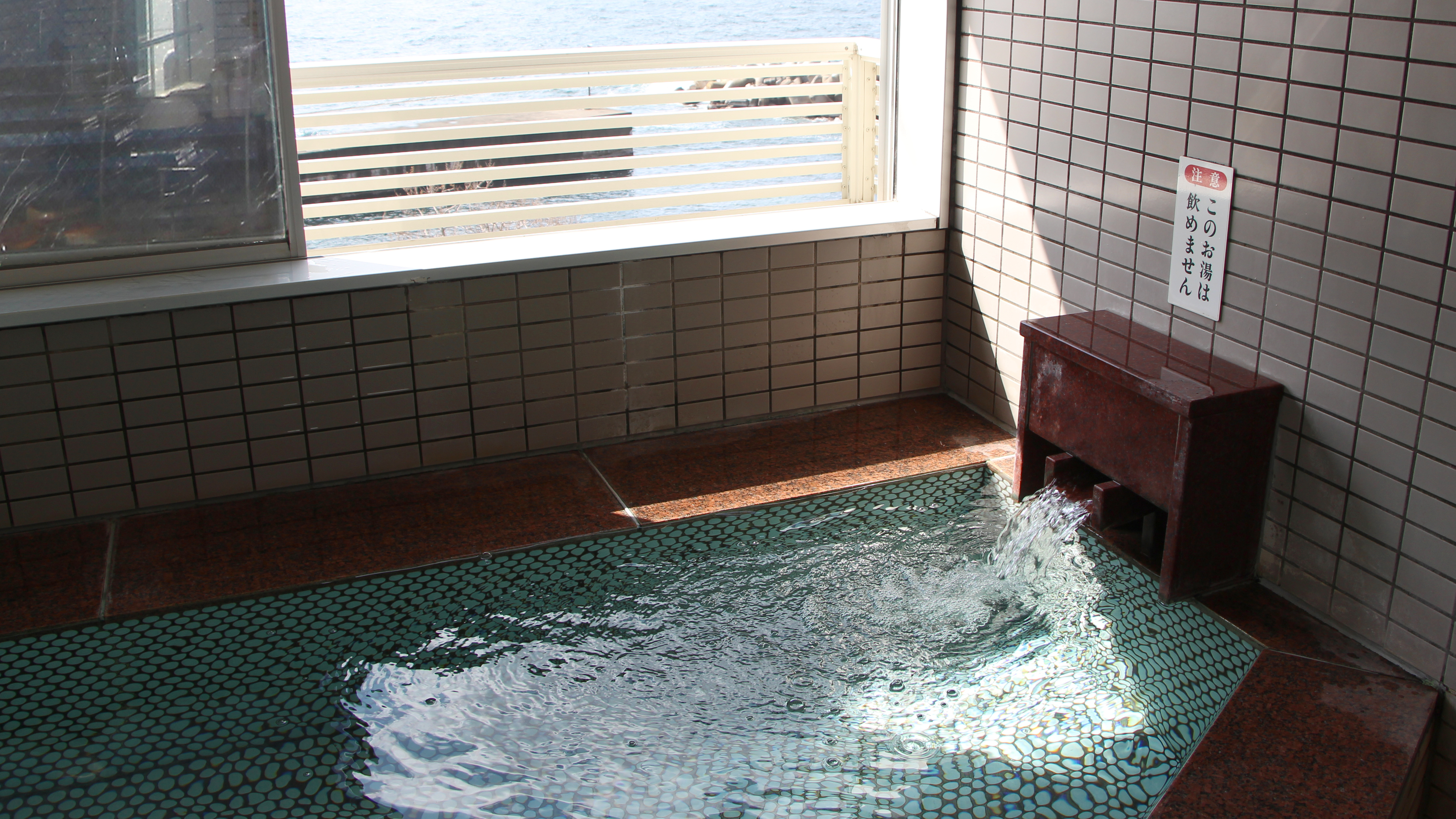 日本海を望める温泉