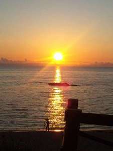 【板長おまかせ】源泉かけ流し鳴き砂温泉と旬の食材を使った宿泊プラン