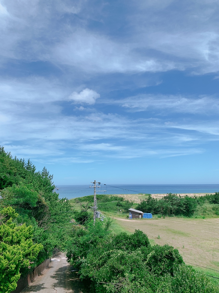 海側１２畳の部屋から見える景色