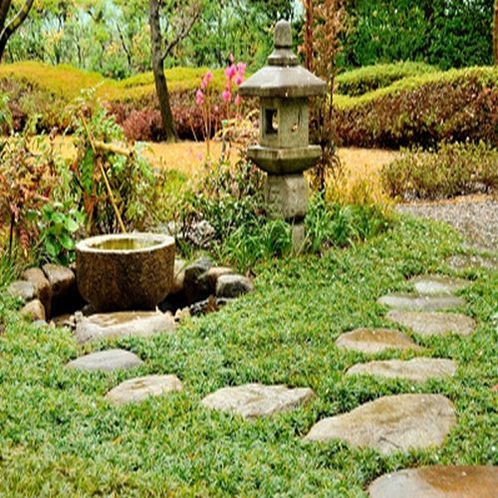 <庭園がより魅力的にリニューアル>新たに設けられた飛び石の小道から、四季折々のの植物や風景をお楽しみ