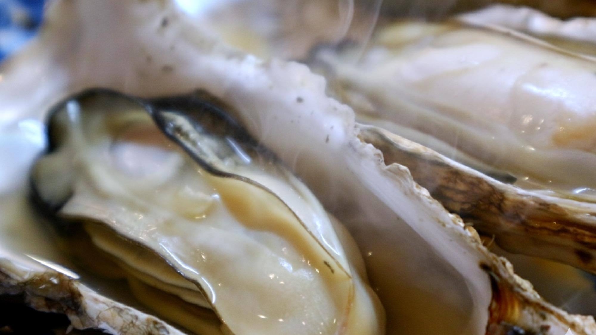 【かに牡蠣コース】”グルメ旅” 厳選ズワイガニ × 蒸し牡蠣｜個室お食事処｜全客室オーシャンビュー