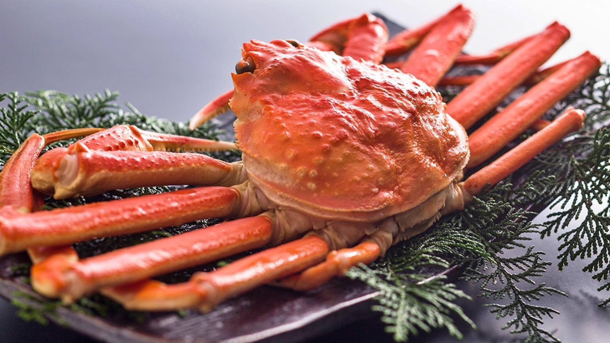 【蟹食べ納めセール】カニフルコース｜厳選ズワイガニ2.5杯使用｜個室お食事処｜全客室オーシャンビュー