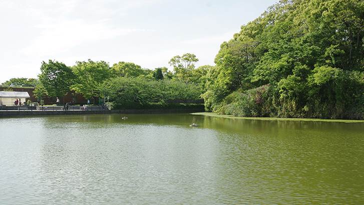 天王寺公園