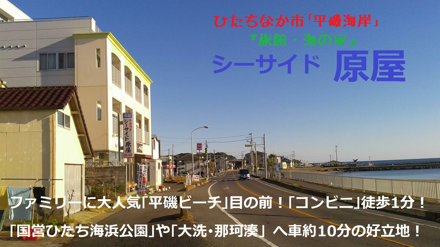 写真1