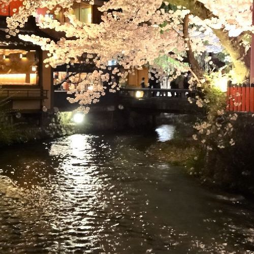 ＜スタンダードプラン＞京都駅から徒歩圏内のお宿でシンプルステイ【素泊まり】京都駅から徒歩圏内のお宿