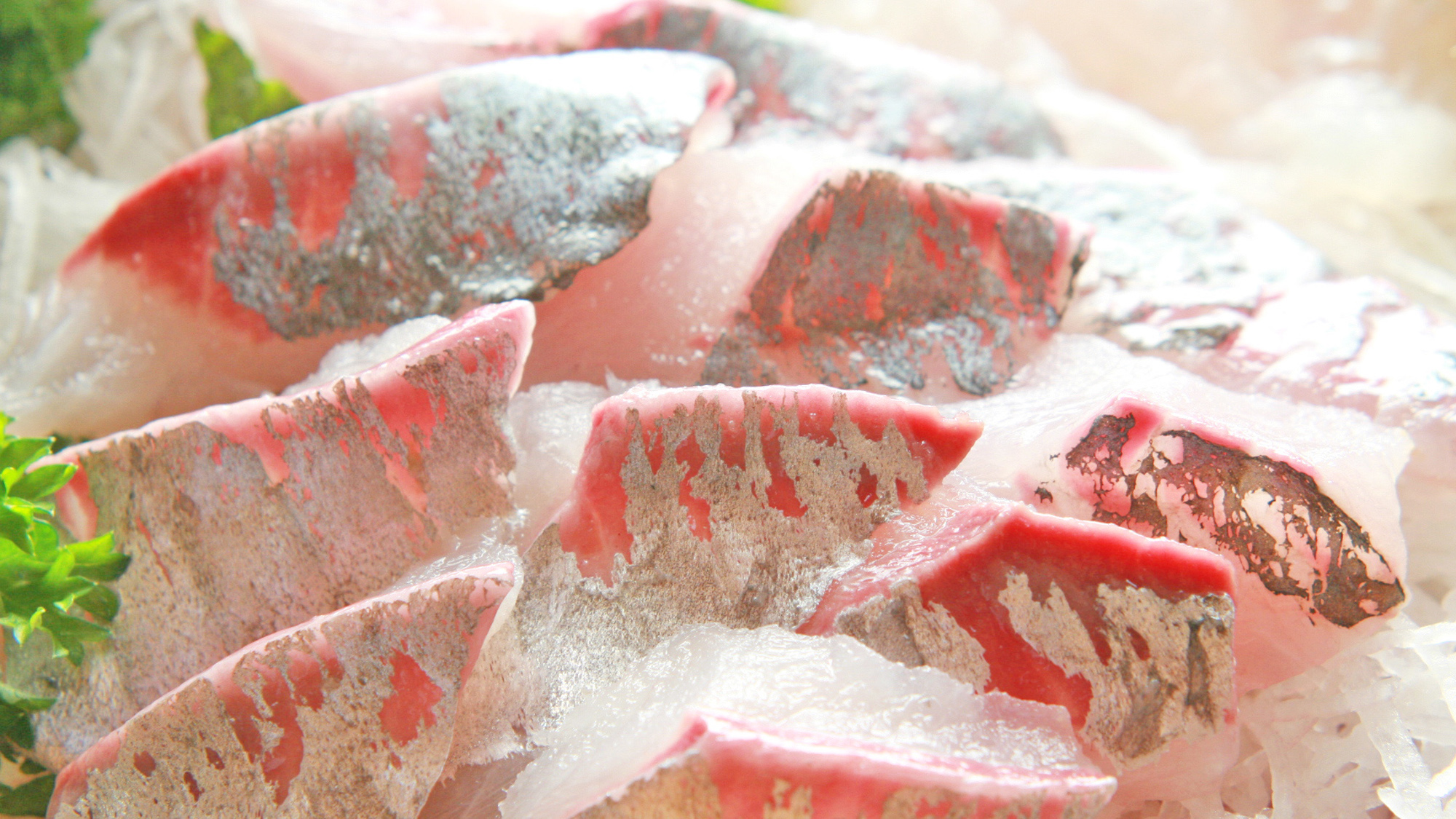 新鮮なお刺身をどうぞ