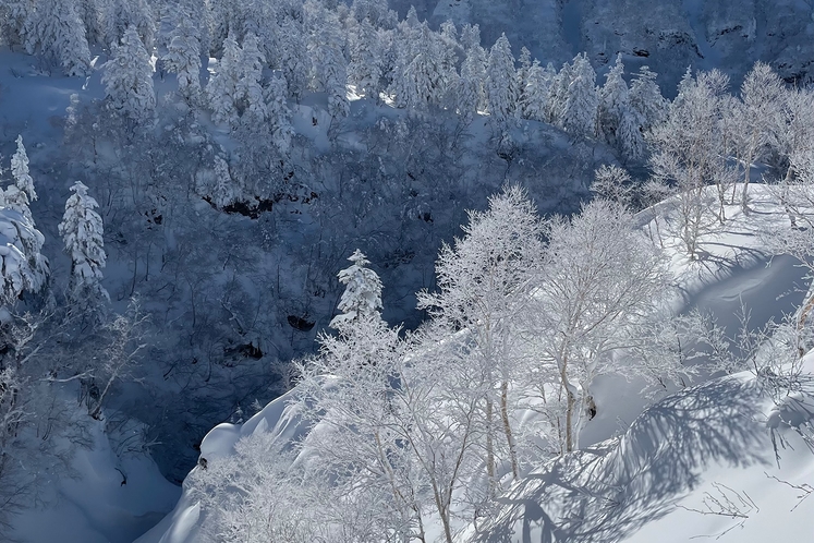 富良野　冬風景