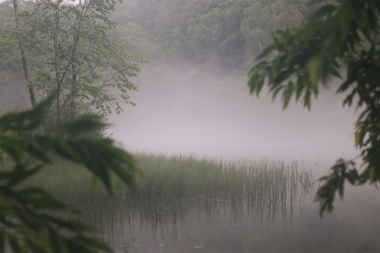 富良野　風景