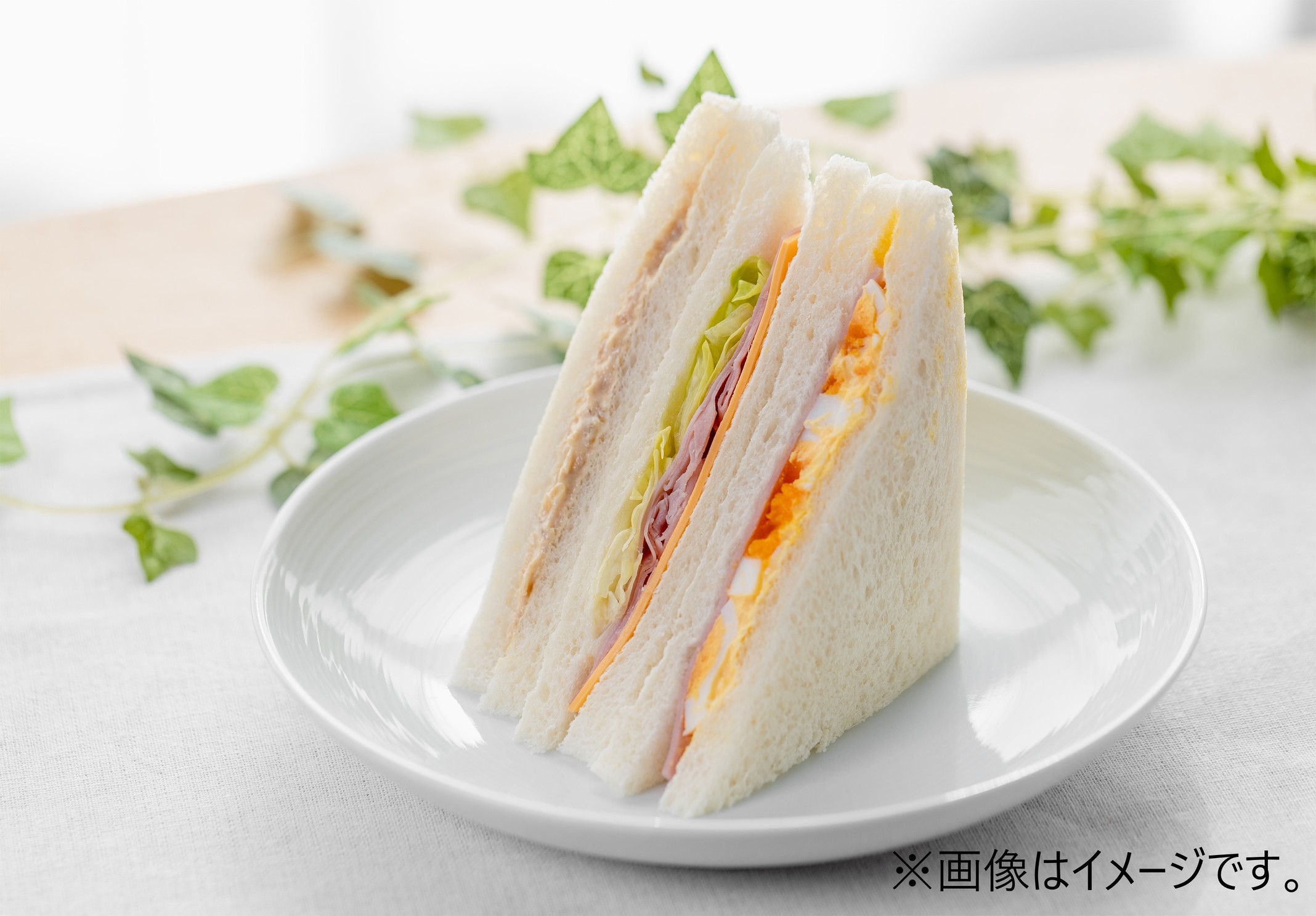 【朝食サンドウィッチ付】14時チェックインプラン☆全室バス・トイレ別のVOD付き♪☆